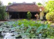 Vẻ thanh bình ở ngôi nhà vườn đẹp nhất xứ Huế
