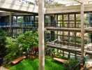 Khám phá khu vườn nhiệt đới trong tòa văn phòng ở Ấn Độ